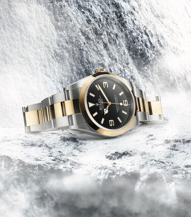 rolex Explorer watches - Maison Birks
