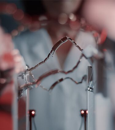 rolex watchmaking know-how - Maison Birks