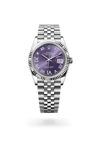 rolex Datejust in White Rolesor, M126234-0021 - Maison Birks