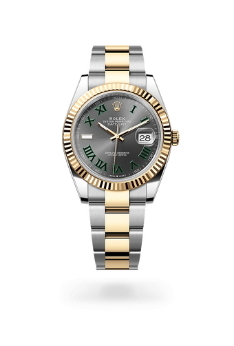 rolex Datejust in Yellow Rolesor, M126333-0019 - Maison Birks