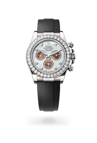 rolex Cosmograph Daytona in 18 ct white gold, M126589RBR-0001 - Maison Birks